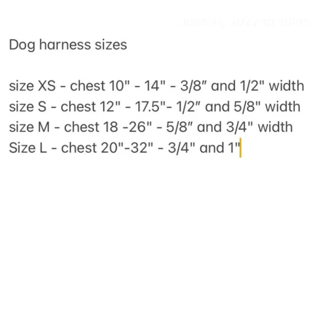 Custom Dog Harness from Etsy - Picture 7 of 7